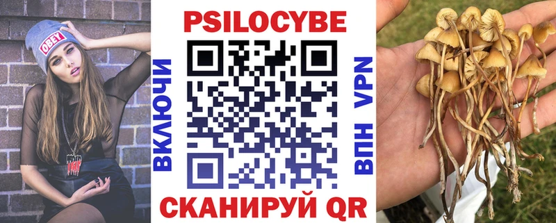 наркота  OMG онион  даркнет наркотические препараты  Абдулино  Галлюциногенные грибы Psilocybe 